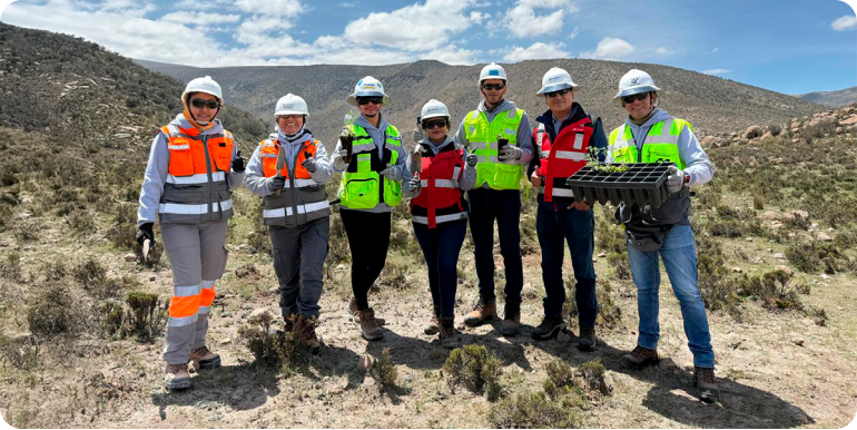 Anglo American Perú